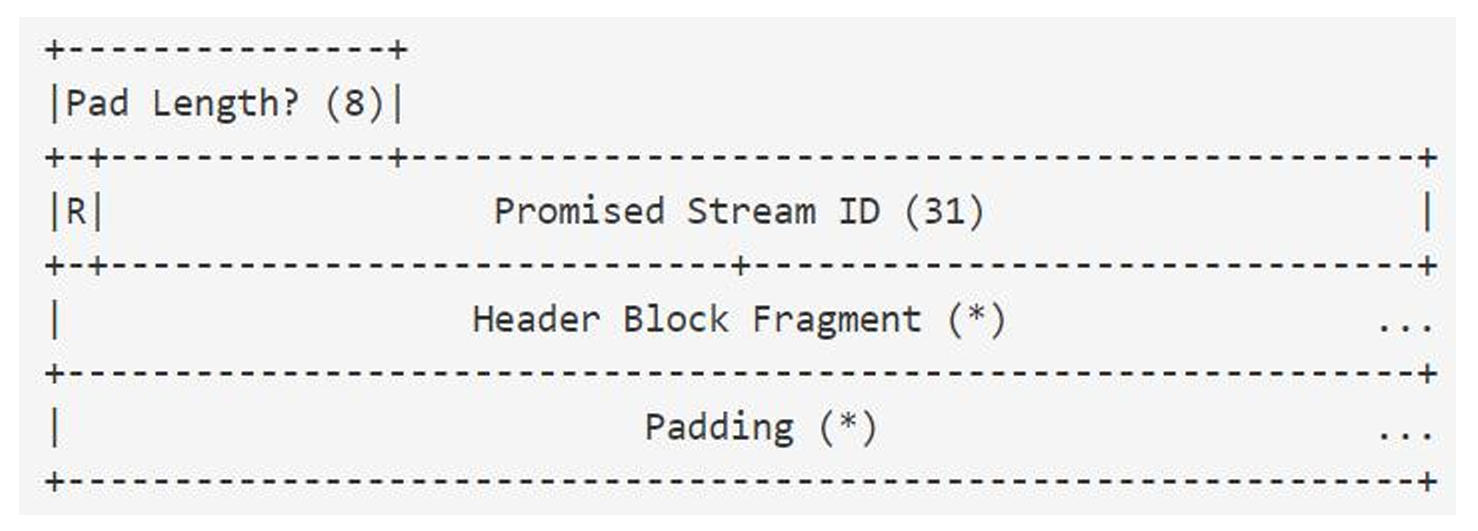 PUSH帧的格式