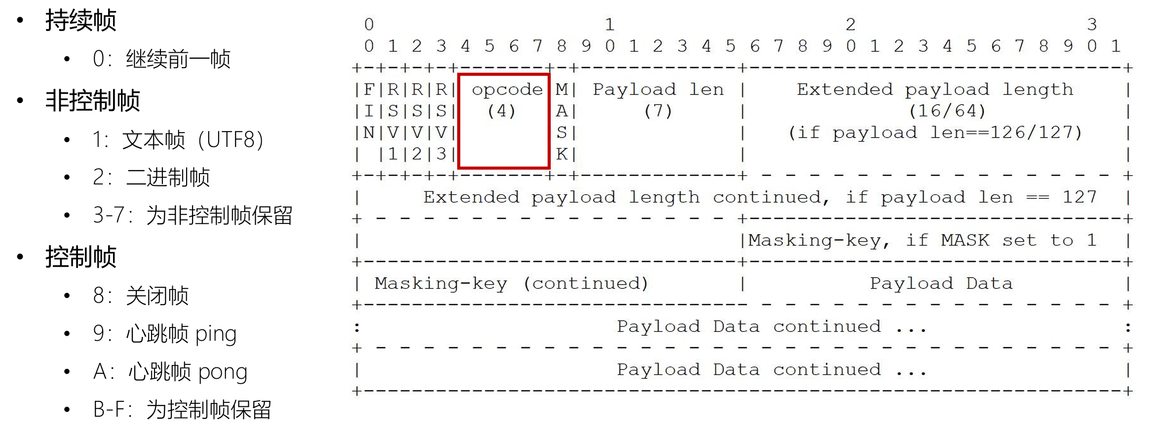 websocket_frame3